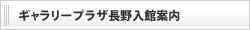 ギャラリープラザ長野入館案内